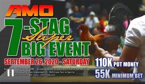 swc6 sabong|Today's BIG EVENT 6 STAG .